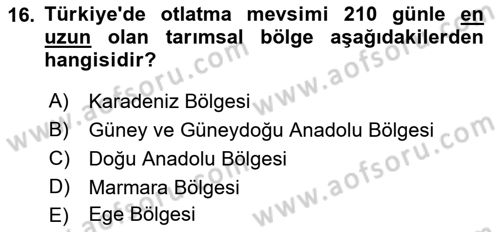 Tarla Bitkileri 2 Dersi 2017 - 2018 Yılı 3 Ders Sınav Soruları 16. Soru