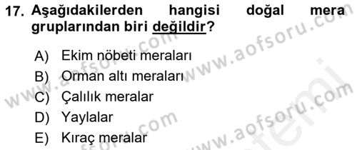 Tarla Bitkileri 2 Dersi 2017 - 2018 Yılı 3 Ders Sınav Soruları 17. Soru