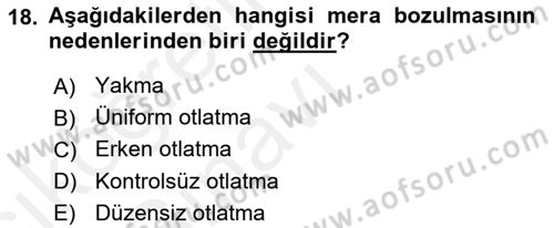 Tarla Bitkileri 2 Dersi 2017 - 2018 Yılı 3 Ders Sınav Soruları 18. Soru