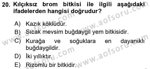 Tarla Bitkileri 2 Dersi 2017 - 2018 Yılı 3 Ders Sınav Soruları 20. Soru