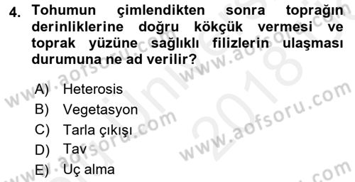 Tarla Bitkileri 2 Dersi 2017 - 2018 Yılı 3 Ders Sınav Soruları 4. Soru