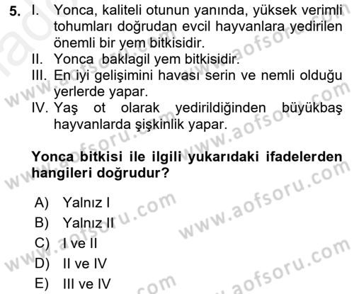 Tarla Bitkileri 2 Dersi 2017 - 2018 Yılı 3 Ders Sınav Soruları 5. Soru