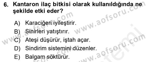 Tarla Bitkileri 2 Dersi 2017 - 2018 Yılı 3 Ders Sınav Soruları 6. Soru