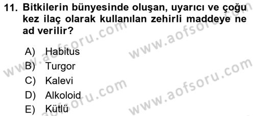 Tarla Bitkileri 2 Dersi 2017 - 2018 Yılı (Vize) Ara Sınav Soruları 11. Soru