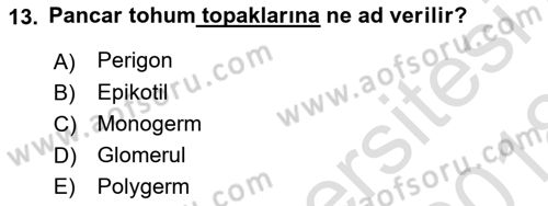 Tarla Bitkileri 2 Dersi 2017 - 2018 Yılı (Vize) Ara Sınav Soruları 13. Soru
