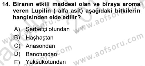 Tarla Bitkileri 2 Dersi 2017 - 2018 Yılı (Vize) Ara Sınav Soruları 14. Soru