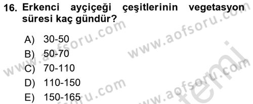 Tarla Bitkileri 2 Dersi 2017 - 2018 Yılı (Vize) Ara Sınav Soruları 16. Soru