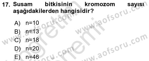 Tarla Bitkileri 2 Dersi 2017 - 2018 Yılı (Vize) Ara Sınav Soruları 17. Soru