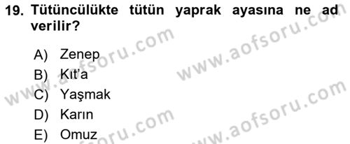 Tarla Bitkileri 2 Dersi 2017 - 2018 Yılı (Vize) Ara Sınav Soruları 19. Soru