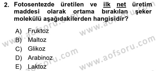 Tarla Bitkileri 2 Dersi 2017 - 2018 Yılı (Vize) Ara Sınav Soruları 2. Soru