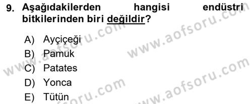 Tarla Bitkileri 2 Dersi 2017 - 2018 Yılı (Vize) Ara Sınav Soruları 9. Soru