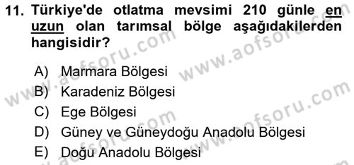 Tarla Bitkileri 2 Dersi 2017 - 2018 Yılı (Final) Dönem Sonu Sınav Soruları 11. Soru