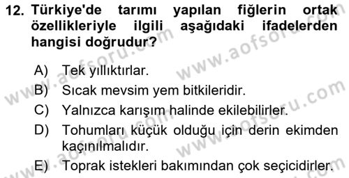 Tarla Bitkileri 2 Dersi 2017 - 2018 Yılı (Final) Dönem Sonu Sınav Soruları 12. Soru