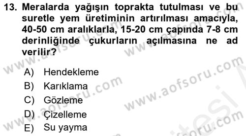 Tarla Bitkileri 2 Dersi 2017 - 2018 Yılı (Final) Dönem Sonu Sınav Soruları 13. Soru
