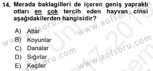 Tarla Bitkileri 2 Dersi 2017 - 2018 Yılı (Final) Dönem Sonu Sınav Soruları 14. Soru