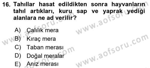 Tarla Bitkileri 2 Dersi 2017 - 2018 Yılı (Final) Dönem Sonu Sınav Soruları 16. Soru