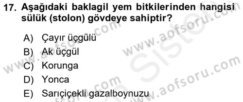 Tarla Bitkileri 2 Dersi 2017 - 2018 Yılı (Final) Dönem Sonu Sınav Soruları 17. Soru