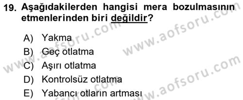 Tarla Bitkileri 2 Dersi 2017 - 2018 Yılı (Final) Dönem Sonu Sınav Soruları 19. Soru