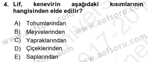 Tarla Bitkileri 2 Dersi 2017 - 2018 Yılı (Final) Dönem Sonu Sınav Soruları 4. Soru