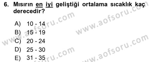 Tarla Bitkileri 2 Dersi 2017 - 2018 Yılı (Final) Dönem Sonu Sınav Soruları 6. Soru