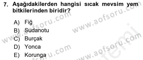 Tarla Bitkileri 2 Dersi 2017 - 2018 Yılı (Final) Dönem Sonu Sınav Soruları 7. Soru