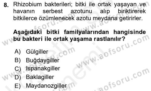 Tarla Bitkileri 2 Dersi 2017 - 2018 Yılı (Final) Dönem Sonu Sınav Soruları 8. Soru