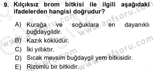 Tarla Bitkileri 2 Dersi 2017 - 2018 Yılı (Final) Dönem Sonu Sınav Soruları 9. Soru