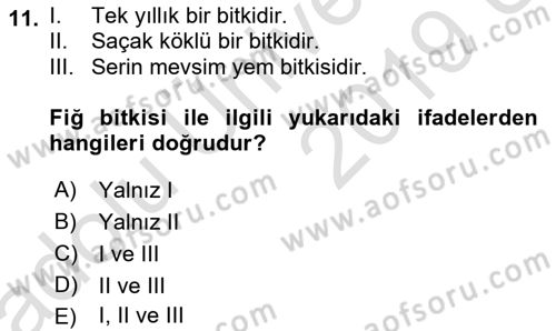 Tarla Bitkileri 2 Dersi 2018 - 2019 Yılı 3 Ders Sınav Soruları 11. Soru
