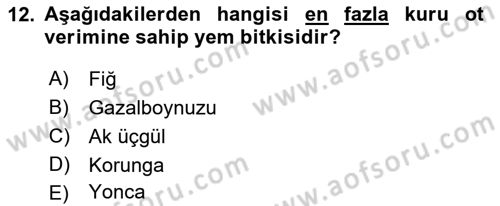 Tarla Bitkileri 2 Dersi 2018 - 2019 Yılı 3 Ders Sınav Soruları 12. Soru