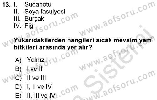 Tarla Bitkileri 2 Dersi 2018 - 2019 Yılı 3 Ders Sınav Soruları 13. Soru