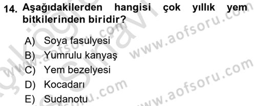 Tarla Bitkileri 2 Dersi 2018 - 2019 Yılı 3 Ders Sınav Soruları 14. Soru