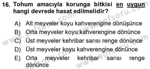 Tarla Bitkileri 2 Dersi 2018 - 2019 Yılı 3 Ders Sınav Soruları 16. Soru