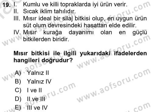 Tarla Bitkileri 2 Dersi 2018 - 2019 Yılı 3 Ders Sınav Soruları 19. Soru
