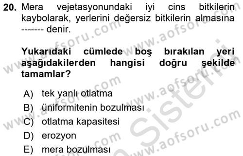 Tarla Bitkileri 2 Dersi 2018 - 2019 Yılı 3 Ders Sınav Soruları 20. Soru
