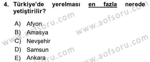 Tarla Bitkileri 2 Dersi 2018 - 2019 Yılı 3 Ders Sınav Soruları 4. Soru