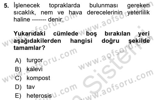 Tarla Bitkileri 2 Dersi 2018 - 2019 Yılı 3 Ders Sınav Soruları 5. Soru