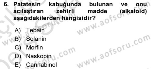 Tarla Bitkileri 2 Dersi 2018 - 2019 Yılı 3 Ders Sınav Soruları 6. Soru