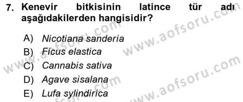 Tarla Bitkileri 2 Dersi 2018 - 2019 Yılı 3 Ders Sınav Soruları 7. Soru