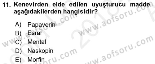 Tarla Bitkileri 2 Dersi 2018 - 2019 Yılı (Vize) Ara Sınav Soruları 11. Soru