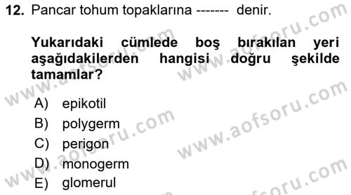 Tarla Bitkileri 2 Dersi 2018 - 2019 Yılı (Vize) Ara Sınav Soruları 12. Soru