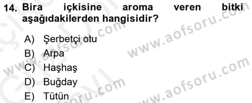 Tarla Bitkileri 2 Dersi 2018 - 2019 Yılı (Vize) Ara Sınav Soruları 14. Soru