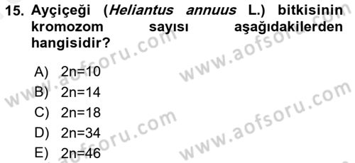 Tarla Bitkileri 2 Dersi 2018 - 2019 Yılı (Vize) Ara Sınav Soruları 15. Soru