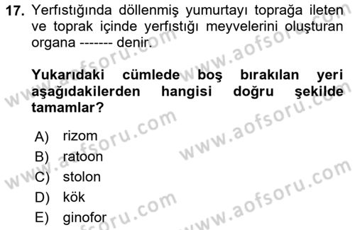 Tarla Bitkileri 2 Dersi 2018 - 2019 Yılı (Vize) Ara Sınav Soruları 17. Soru