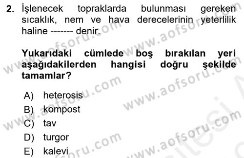 Tarla Bitkileri 2 Dersi 2018 - 2019 Yılı (Vize) Ara Sınav Soruları 2. Soru