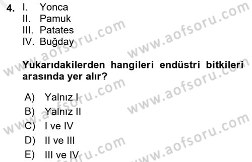 Tarla Bitkileri 2 Dersi 2018 - 2019 Yılı (Vize) Ara Sınav Soruları 4. Soru