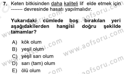 Tarla Bitkileri 2 Dersi 2018 - 2019 Yılı (Vize) Ara Sınav Soruları 7. Soru
