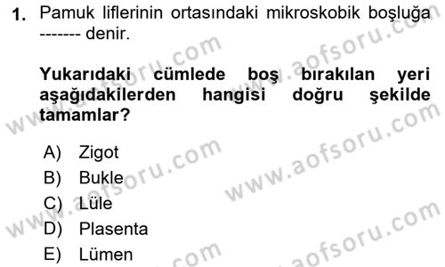 Tarla Bitkileri 2 Dersi 2018 - 2019 Yılı (Final) Dönem Sonu Sınav Soruları 1. Soru