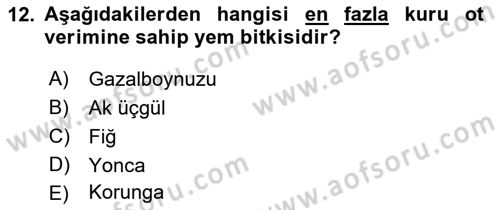 Tarla Bitkileri 2 Dersi 2018 - 2019 Yılı (Final) Dönem Sonu Sınav Soruları 12. Soru