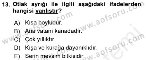 Tarla Bitkileri 2 Dersi 2018 - 2019 Yılı (Final) Dönem Sonu Sınav Soruları 13. Soru