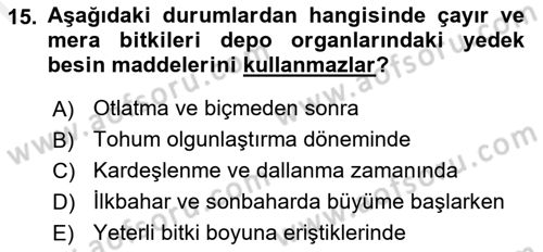 Tarla Bitkileri 2 Dersi 2018 - 2019 Yılı (Final) Dönem Sonu Sınav Soruları 15. Soru